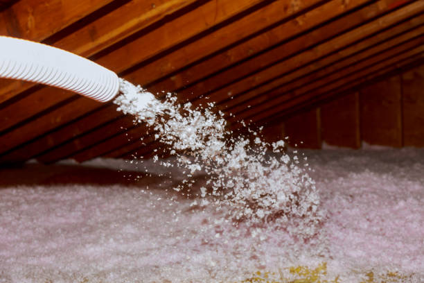 Best Energy Efficiency Solutions in Ashford, AL
